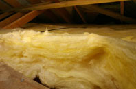 Greenside pitch roof insulation